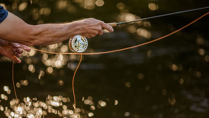   Fly Fishing